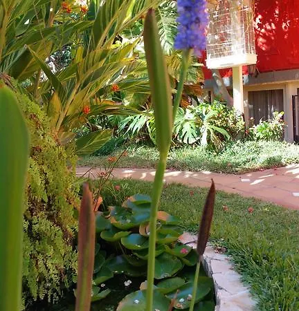 Pasion Tropical - Gay Only (adults Only) Playa Del Aguila (Las Palmas)