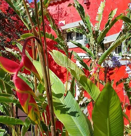 Hotel Pasion Tropical - Gay Only Resort (Adults Only)