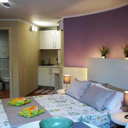 Hotel Pasion Tropical - Gay Only (adults Only) 3*
