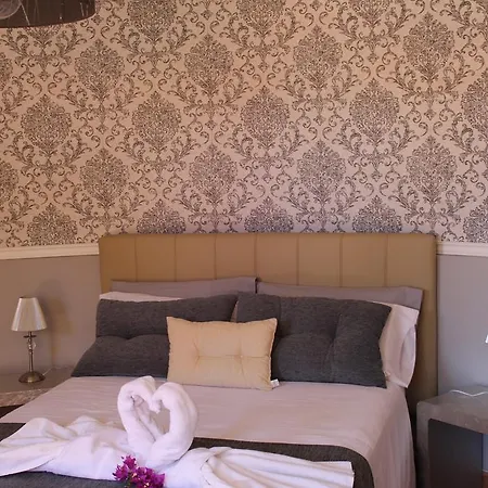 Hotel Pasion Tropical - Gay Only (adults Only)