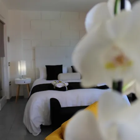 Pasion Tropical - Gay Only (adults Only) 3*