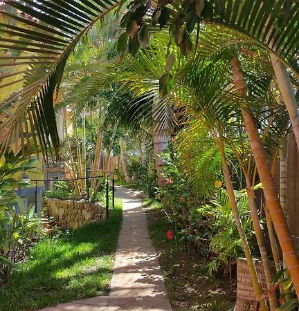 Pasion Tropical - Gay Only (adults Only) Hotel Playa Del Aguila (Las Palmas)
