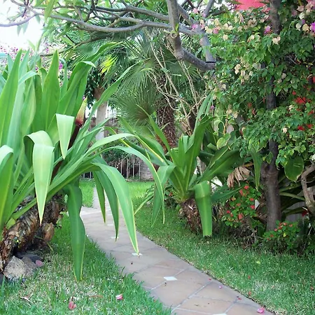 Pasion Tropical - Gay Only (adults Only) 3*